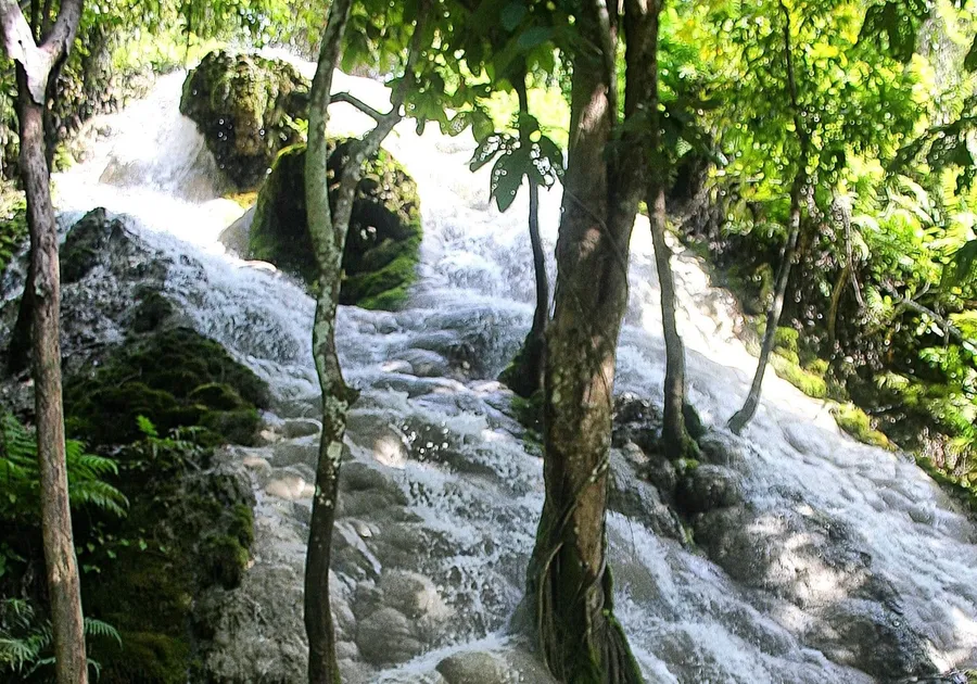 Rampa de toba caliza blanca de las cataratas Bua Tong, con el agua resbalando sobre la roca entre la selva