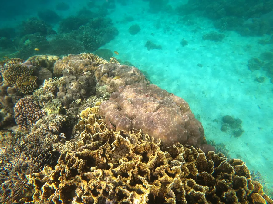 Islas Similan, Tailandia