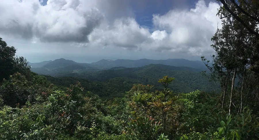 Montaña de Khao Ra cubierta de bosque en el interior de Koh Phangan