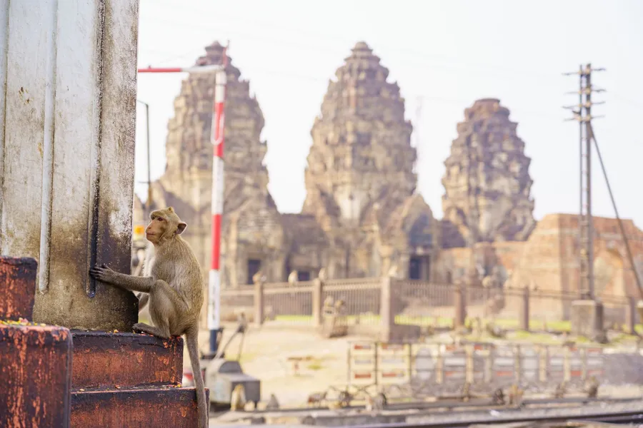 Lopburi (la ciudad de los monos), Tailandia