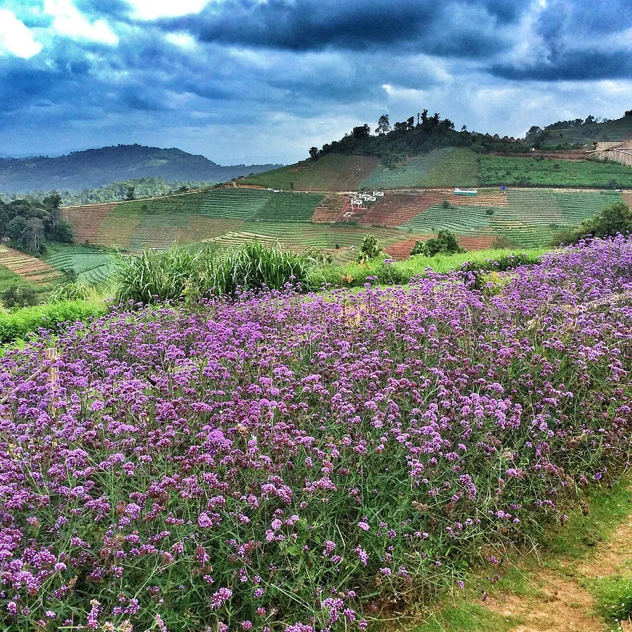 Campos cultivados y montañas vistos desde la zona de Mon Jam