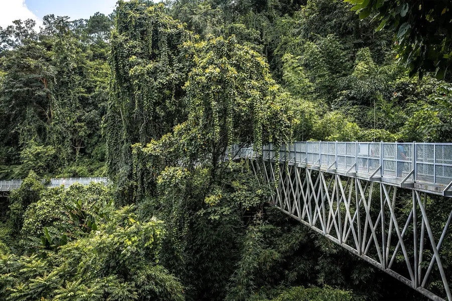 Invernadero y vegetación del Queen Sirikit Botanic Garden de Chiang Mai