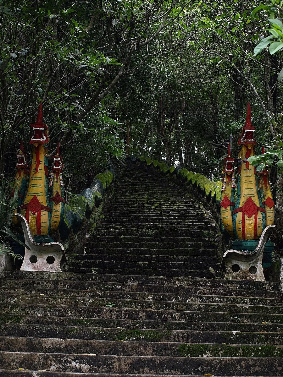 Escalera entre vegetación y figuras de naga en Wat Mon Phraya Chae