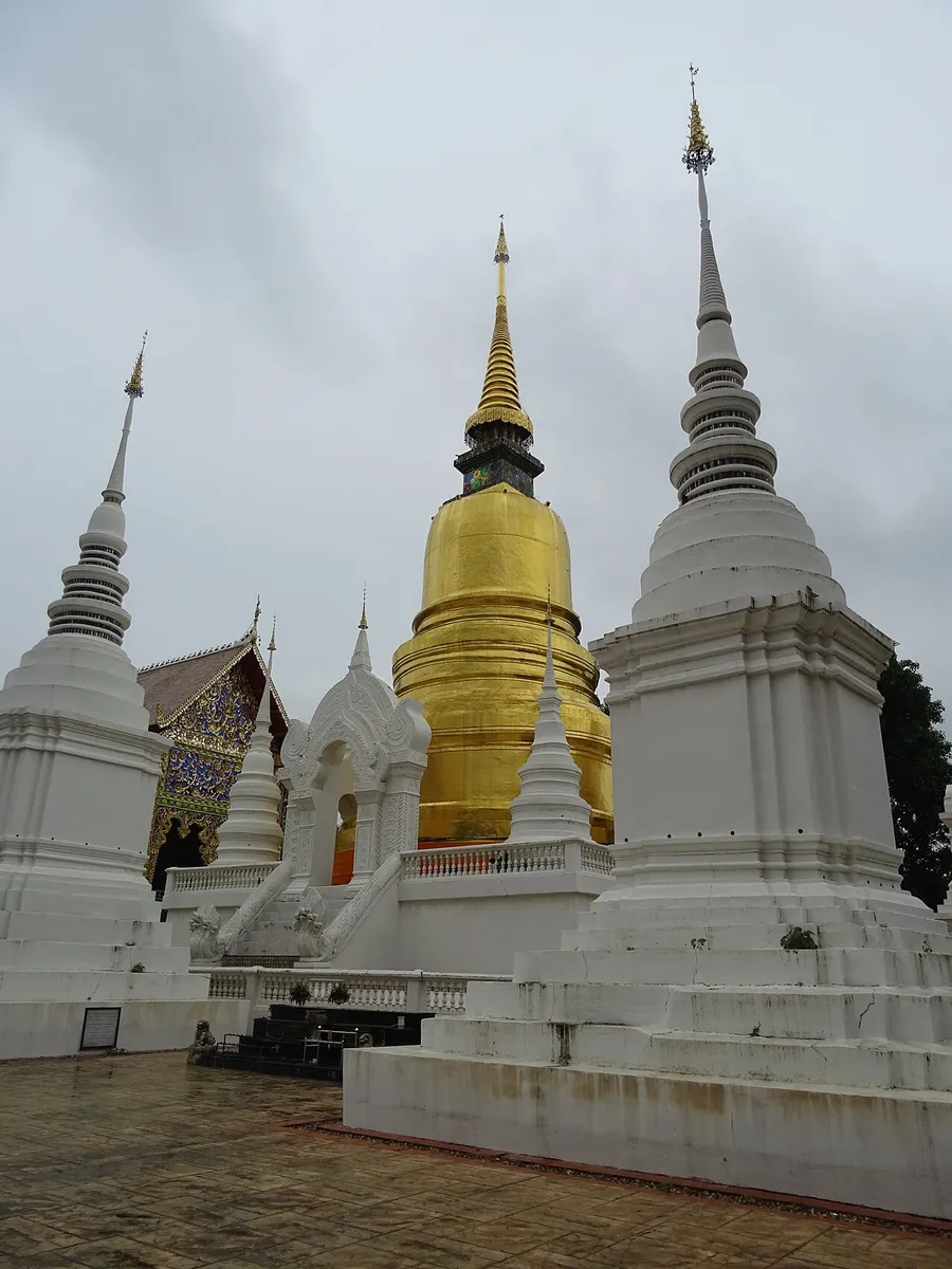 Chedis blancos y estupa dorada de Wat Suan Dok en Chiang Mai